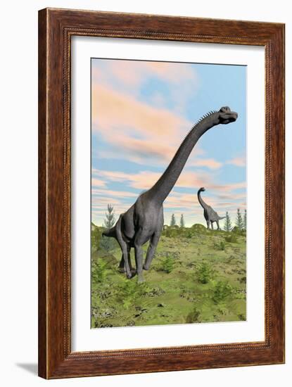 Two Brachiosaurus Dinosaurs in a Prehistoric Environment-null-Framed Art Print