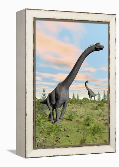 Two Brachiosaurus Dinosaurs in a Prehistoric Environment-null-Framed Stretched Canvas