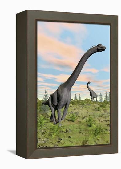 Two Brachiosaurus Dinosaurs in a Prehistoric Environment-null-Framed Stretched Canvas