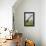 Two Brachiosaurus Dinosaurs in a Prehistoric Environment-null-Framed Stretched Canvas displayed on a wall