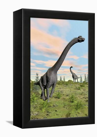 Two Brachiosaurus Dinosaurs in a Prehistoric Environment-null-Framed Stretched Canvas