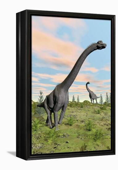 Two Brachiosaurus Dinosaurs in a Prehistoric Environment-null-Framed Stretched Canvas