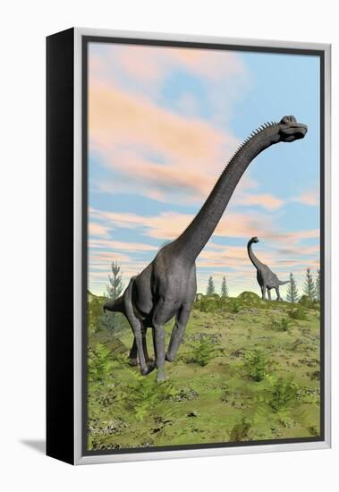 Two Brachiosaurus Dinosaurs in a Prehistoric Environment-null-Framed Stretched Canvas