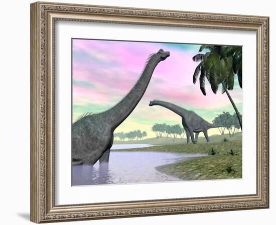 Two Brachiosaurus Dinosaurs in Landscape with Water and Palm Trees-null-Framed Art Print