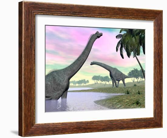 Two Brachiosaurus Dinosaurs in Landscape with Water and Palm Trees-null-Framed Art Print