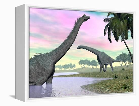 Two Brachiosaurus Dinosaurs in Landscape with Water and Palm Trees-null-Framed Stretched Canvas