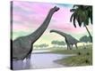 Stretched Canvas Print