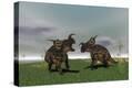 Stretched Canvas Print
