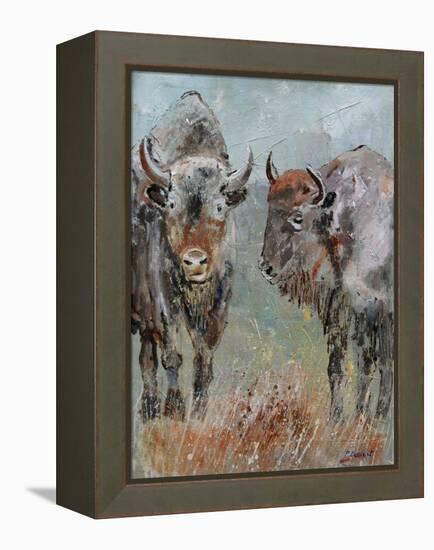 Two Buffaloes-Pol Ledent-Framed Stretched Canvas