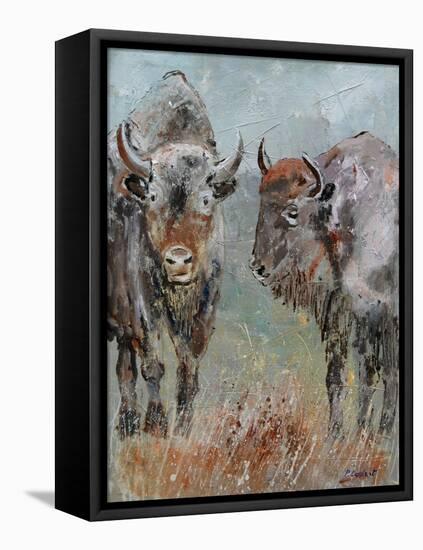 Two Buffaloes-Pol Ledent-Framed Stretched Canvas