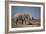 Two Bull Elephants in Etosha National Park, Namibia-Alex Saberi-Framed Photographic Print