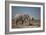 Two Bull Elephants in Etosha National Park, Namibia-Alex Saberi-Framed Photographic Print