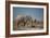 Two Bull Elephants in Etosha National Park, Namibia-Alex Saberi-Framed Photographic Print