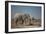 Two Bull Elephants in Etosha National Park, Namibia-Alex Saberi-Framed Photographic Print