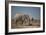 Two Bull Elephants in Etosha National Park, Namibia-Alex Saberi-Framed Photographic Print