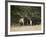 Two Bull Elk (Cervus Canadensis) Facing Off During the Rut, Jasper National Park, Alberta, Canada-James Hager-Framed Photographic Print