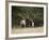 Two Bull Elk (Cervus Canadensis) Facing Off During the Rut, Jasper National Park, Alberta, Canada-James Hager-Framed Photographic Print