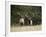 Two Bull Elk (Cervus Canadensis) Facing Off During the Rut, Jasper National Park, Alberta, Canada-James Hager-Framed Photographic Print