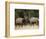 Two Bull Elk (Cervus Canadensis) Sparring During the Rut, Jasper National Park, Alberta, Canada-James Hager-Framed Photographic Print