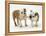 Two Bulldog Pups Carrying a Ragger-Jane Burton-Framed Premier Image Canvas