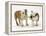 Two Bulldog Pups Carrying a Ragger-Jane Burton-Framed Premier Image Canvas