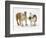 Two Bulldog Pups Carrying a Ragger-Jane Burton-Framed Premium Photographic Print