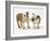 Two Bulldog Pups Carrying a Ragger-Jane Burton-Framed Photographic Print