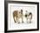 Two Bulldog Pups Carrying a Ragger-Jane Burton-Framed Photographic Print