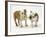 Two Bulldog Pups Carrying a Ragger-Jane Burton-Framed Photographic Print