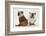 Two Bulldogs, Back to Back-Mark Taylor-Framed Photographic Print
