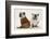 Two Bulldogs, Back to Back-Mark Taylor-Framed Photographic Print