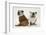 Two Bulldogs, Back to Back-Mark Taylor-Framed Photographic Print