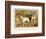 Two Bulldogs One White the Other Brindle and White-null-Framed Art Print