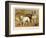 Two Bulldogs One White the Other Brindle and White-null-Framed Art Print