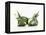 Two Burrata (S. Italian Cheese Speciality)-Luzia Ellert-Framed Premier Image Canvas