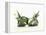 Two Burrata (S. Italian Cheese Speciality)-Luzia Ellert-Framed Premier Image Canvas