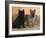 Two Cairn Terriers of Different Coat Colours-Petra Wegner-Framed Photographic Print