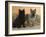 Two Cairn Terriers of Different Coat Colours-Petra Wegner-Framed Photographic Print