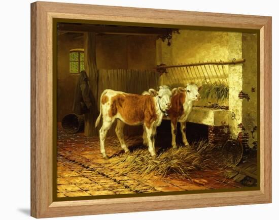 Two Calves in a Barn-Walter Hunt-Framed Premier Image Canvas