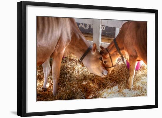 Two Calves-Robert Goldwitz-Framed Photographic Print