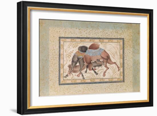 Two Camels Fighting-null-Framed Giclee Print