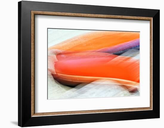 Two Canoes-Ursula Abresch-Framed Photographic Print