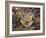 Two Capercaillie (Tetrao Urogallus) Chicks, Vaala, Finland, June-Markus Varesvuo-Framed Photographic Print