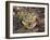 Two Capercaillie (Tetrao Urogallus) Chicks, Vaala, Finland, June-Markus Varesvuo-Framed Photographic Print