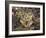 Two Capercaillie (Tetrao Urogallus) Chicks, Vaala, Finland, June-Markus Varesvuo-Framed Photographic Print