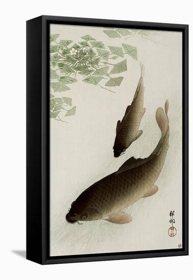 Two Carp and Blooming Water Plants-Koson Ohara-Framed Premier Image Canvas