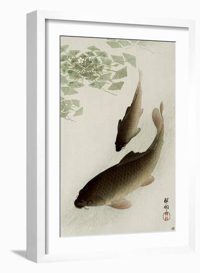 Two Carp and Blooming Water Plants-Koson Ohara-Framed Giclee Print
