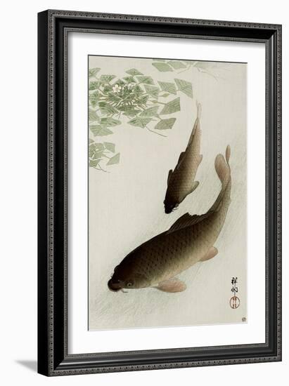 Two Carp and Blooming Water Plants-Koson Ohara-Framed Giclee Print