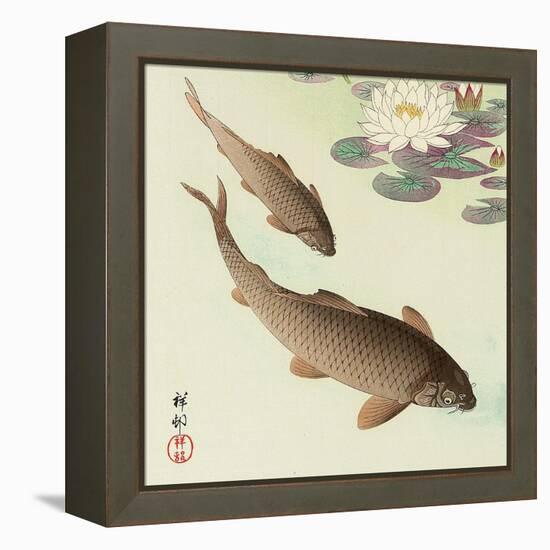 Two Carp and Water Lily Pad-Koson Ohara-Framed Premier Image Canvas