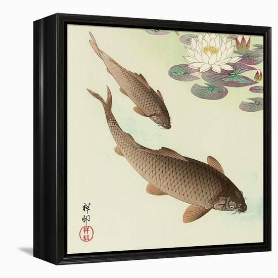 Two Carp and Water Lily Pad-Koson Ohara-Framed Premier Image Canvas